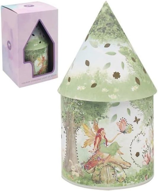 LED Colour Changing Fairy House