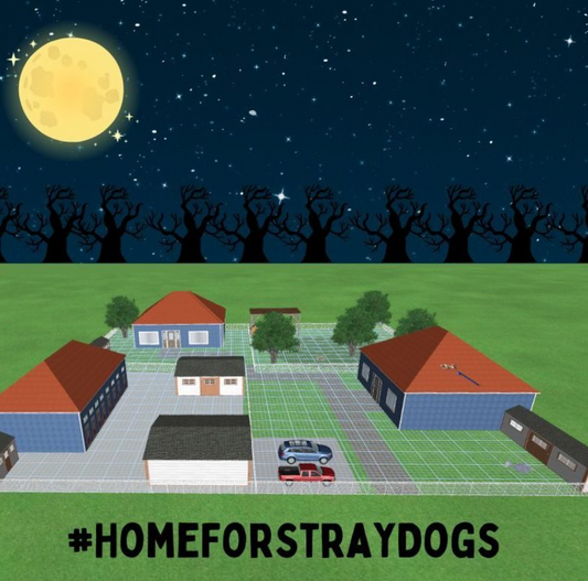 Make A Gift To The Home For Stray Dog Virtual Gift