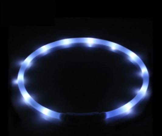 USB Charging Flashing Dog Collar Led Light Safe Night Walking White