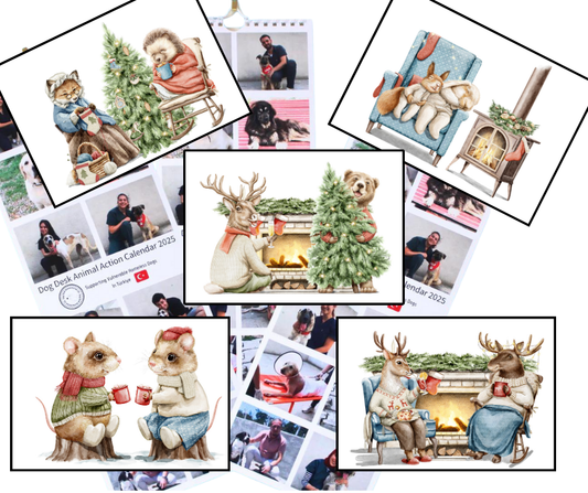 Calendar & Deluxe Christmas Cards Bundle