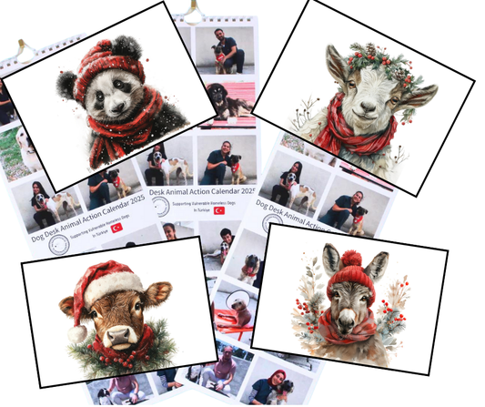 Calendar & Deluxe Christmas Cards Bundle 2