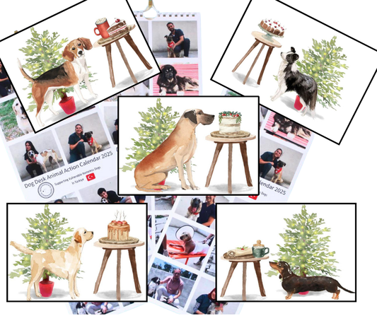 Calendar & Deluxe Christmas Cards Bundle 4