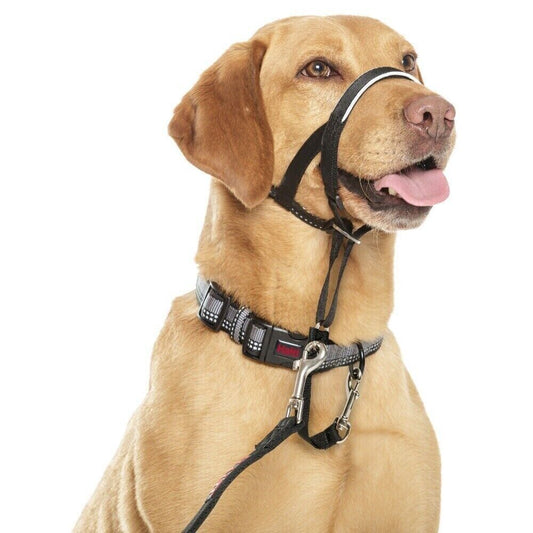 CoA Halti Headcollar Dog Gentle Non Pull Training Walking Collar