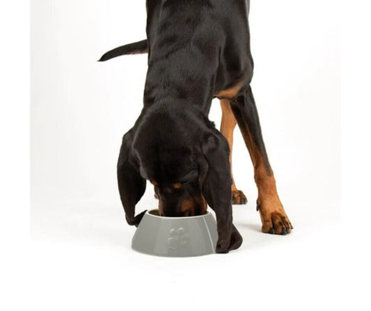 Scruffs Classic Long Ear Dog Bowl No More Wet Ears