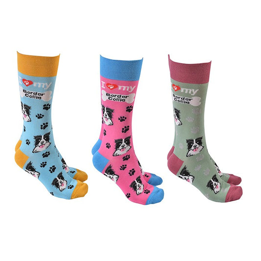 Sock Society Border Collie Dog Pattern Socks