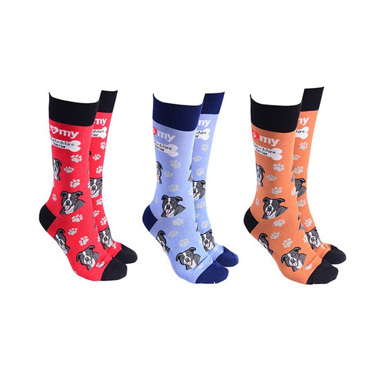 Sock Society Staffy Dog Pattern Socks