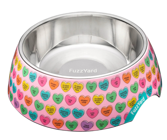 Candy Hearts Easy Feeder Dog Bowl