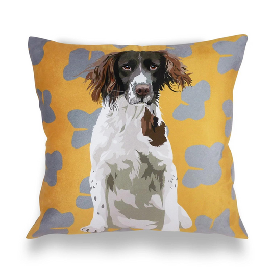 Springer Spaniel Cushion Cover & Cushion