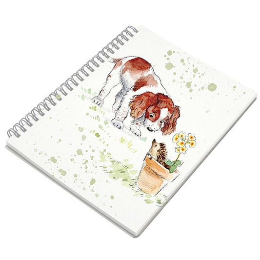 Paper Shed Springer Spaniel A6 Notebook