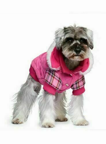 Highland Lady Quilted Tartan Dog Coat