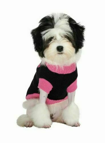 Black & Pink Mod Dog Jumper Sweater